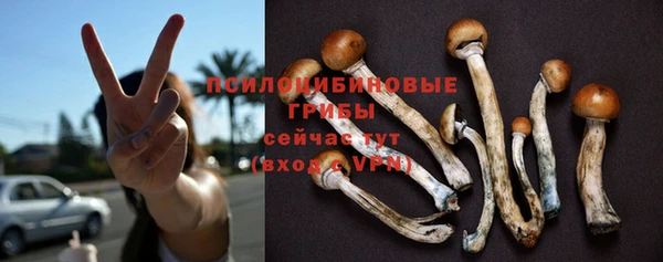 мет Коряжма