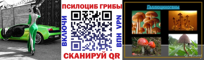 Псилоцибиновые грибы Psilocybe  mega зеркало  Смоленск 