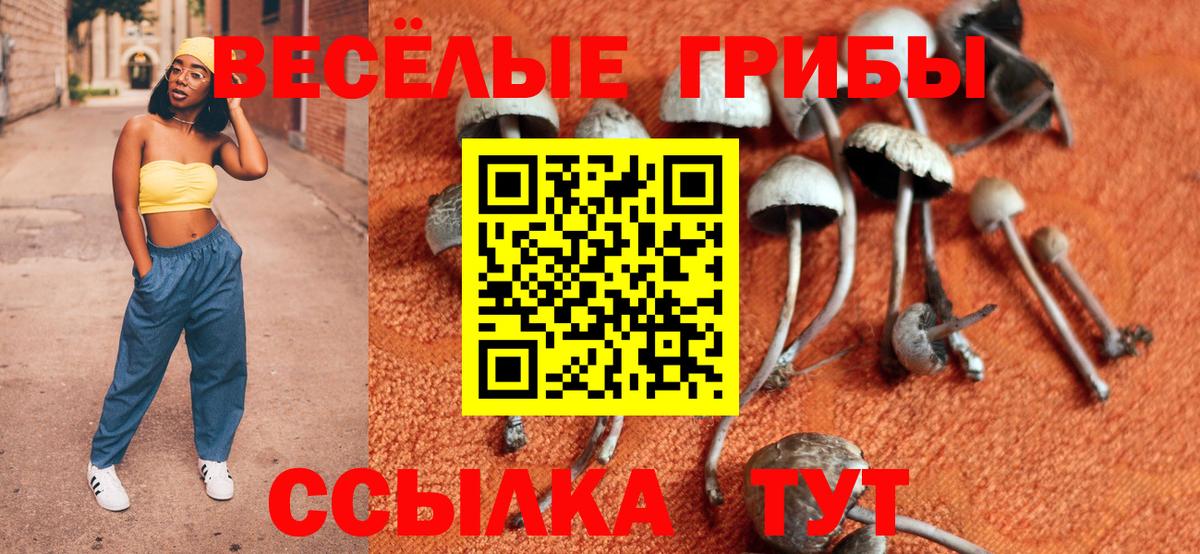 Смоленск  хочу наркоту  Вход с VPN  Галлюциногенные грибы Magic Shrooms 